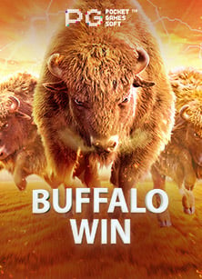 รวมรีวิวสล็อตที่นิยมและคุ้มค่าที่สุดในตอนนี้